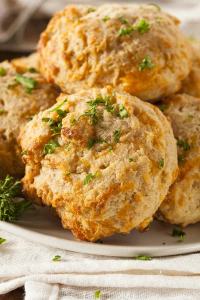 Biscuits au fromage cheddar maison — Photo