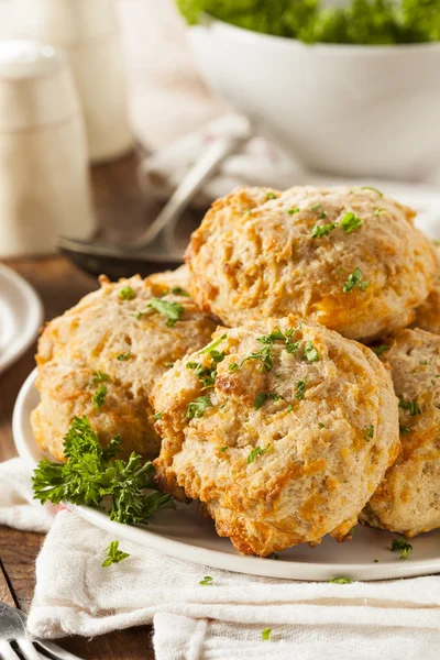 Biscotti di formaggio Cheddar fatti in casa — Foto Stock