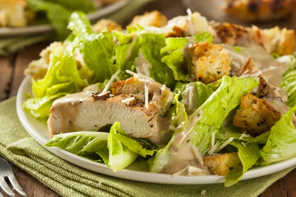 Healthy Grilled Chicken Caesar Salad — Stock Image Healthy Grilled Chicken Caesar Salad Stock Photo