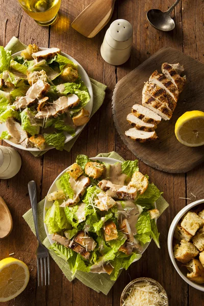 Healthy Grilled Chicken Caesar Salad — Stock Image Healthy Grilled Chicken Caesar Salad Stock Picture
