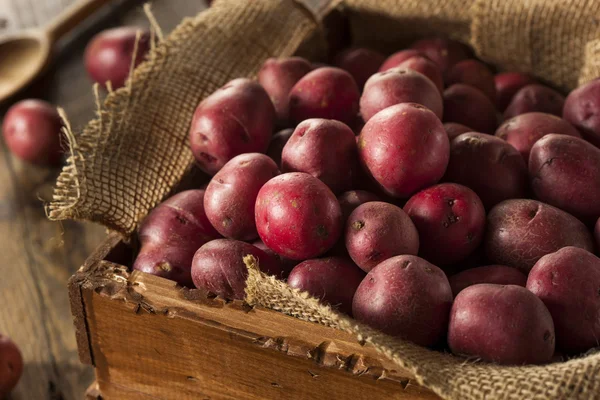 Organic Raw Red Potatoes