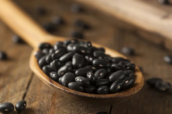 有机原料干黑豆 — 图库照片