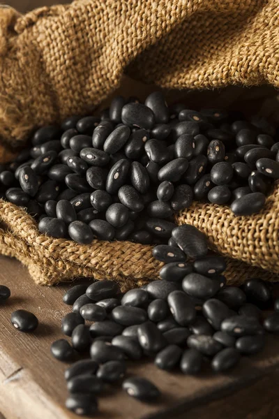 Organic Raw Dry Black Beans — Stock Photo, Image