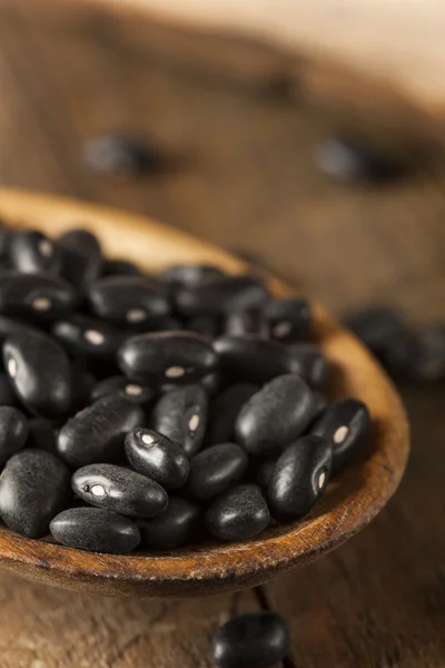 Organické syrové suché černé fazole — Stock fotografie