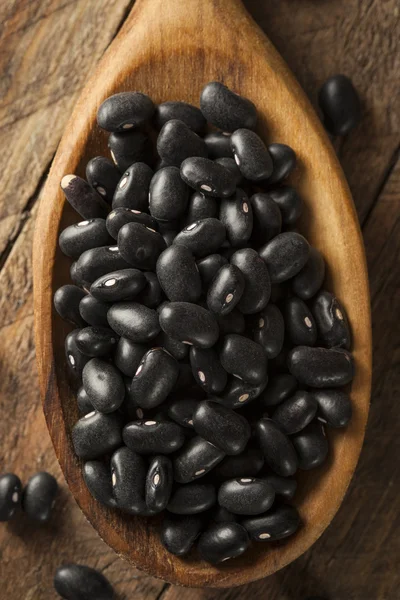 Organic Raw Dry Black Beans — Stock Photo, Image