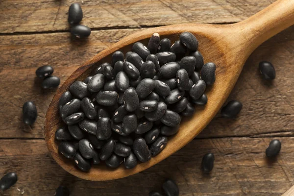 Organic Raw Dry Black Beans — Stock Photo, Image