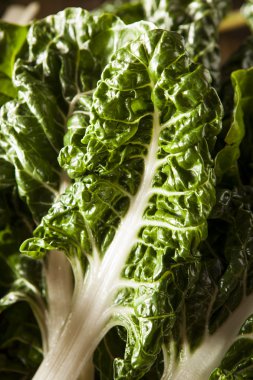 Taze organik yeşil pazı