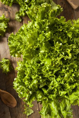 Taze sağlıklı organik yeşil yaprak marul