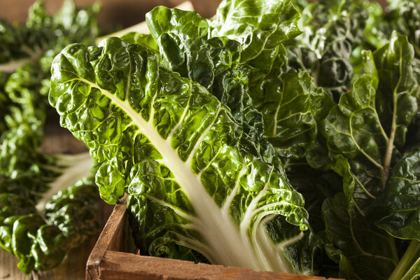 Fresh Organic Green Chard