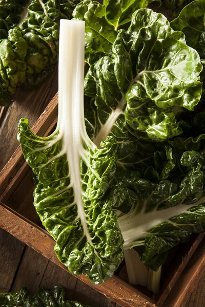 新鲜的有机绿色甜菜 — 图库照片