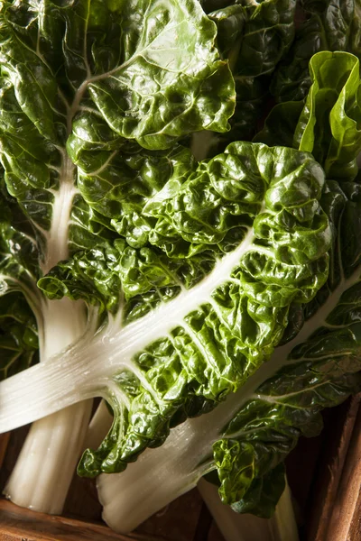 Fresh Organic Green Chard — Stock Photo, Image