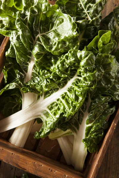 Fresh Organic Green Chard — Stock Photo, Image