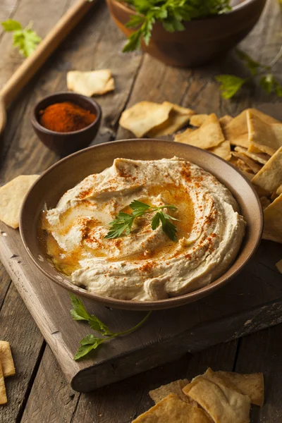 Frisk hjemmelaget Kremaktig Hummus – stockfoto