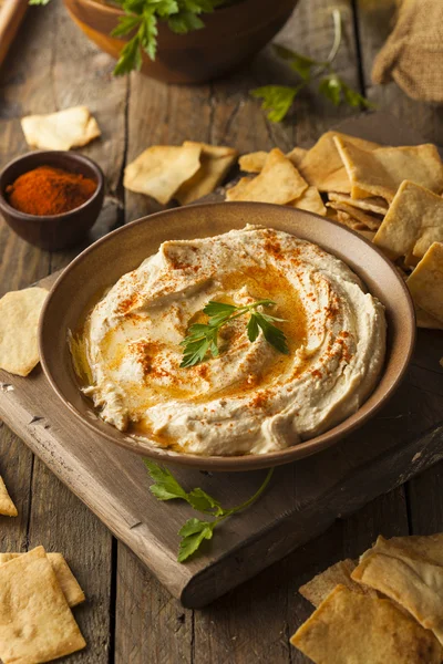 Frisk hemgjord krämig Hummus — Stockfoto