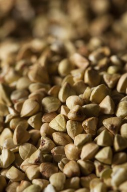 Ham kuru organik buğday