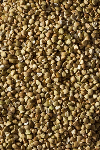 Raw Dry Organic Buckwheat — Stock Photo, Image