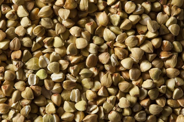 Raw Dry Organic Buckwheat — Stock Photo, Image