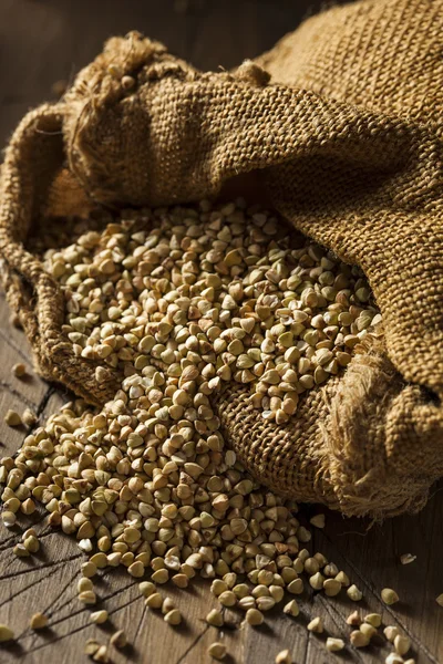 Ham kuru organik buğday — Stok fotoğraf