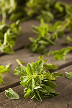 Ham yeşil organik kekik