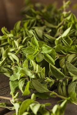 Ham yeşil organik kekik