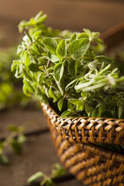 Ham yeşil organik kekik