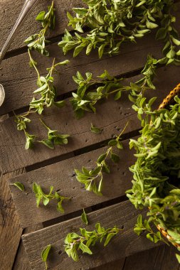 Ham yeşil organik kekik