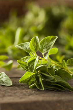 Ham yeşil organik kekik