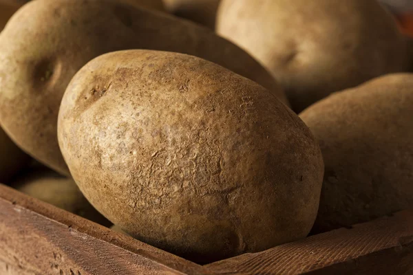 Органічна сира картопля коричневого — стокове фото