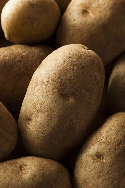 Batatas marrons cruas orgânicas — Fotografia de Stock