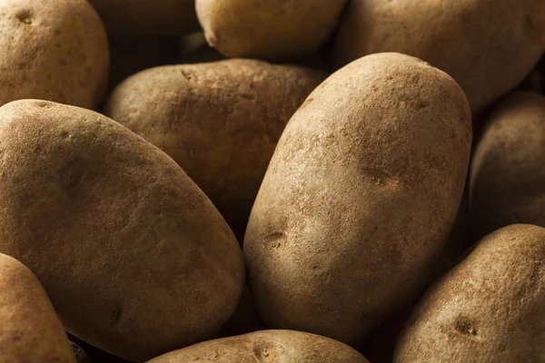 Patatas marrones crudas orgánicas — Foto de Stock