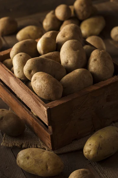 Organiczne surowe ziemniaki brązowy — Zdjęcie stockowe