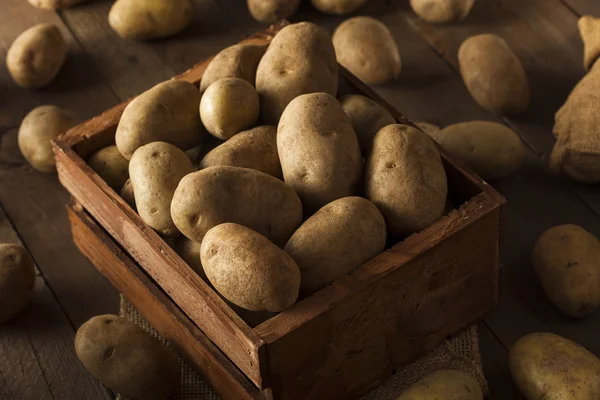 Patatas marrones crudas orgánicas — Foto de Stock