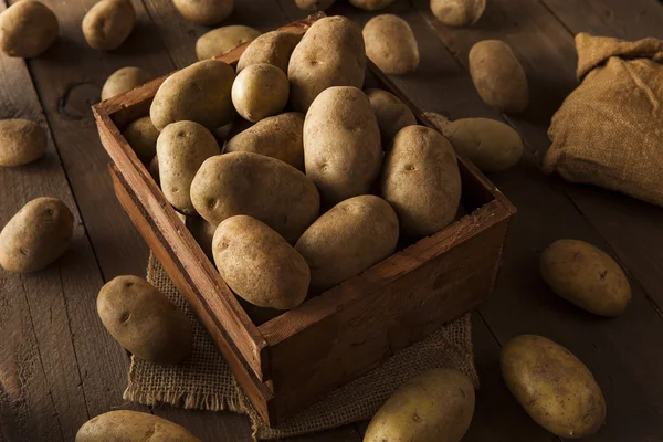 Organic Raw Brown Potatoes