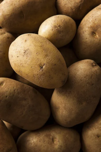 Batatas marrons cruas orgânicas — Fotografia de Stock