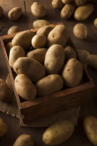 有机原料棕色的土豆 — 图库照片