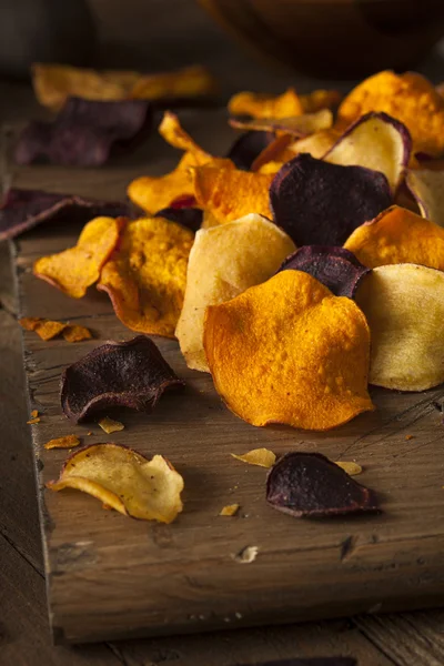 Gesunde hausgemachte Gemüsechips — Stockfoto