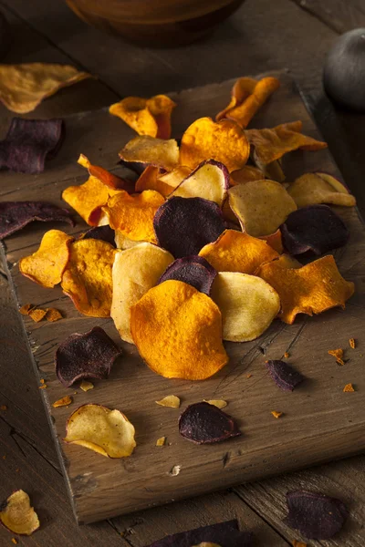 Hälsosam hemlagad vegetabiliska Chips — Stockfoto