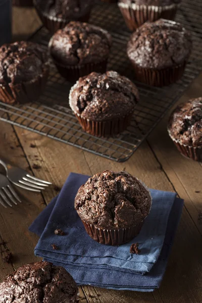 Homemade Dark Chocolate Muffins — Stock Photo, Image