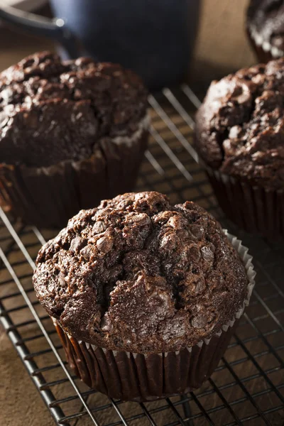 Hausgemachte Muffins aus dunkler Schokolade — Stockfoto