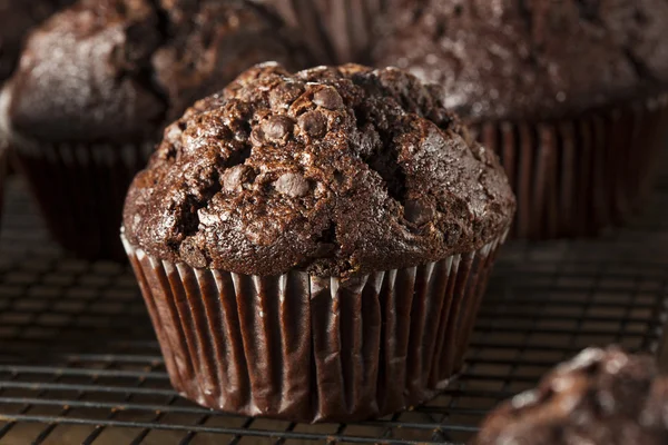 Muffins de chocolate escuro caseiro — Fotografia de Stock