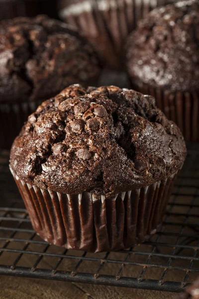 Muffins au chocolat noir faits maison — Photo