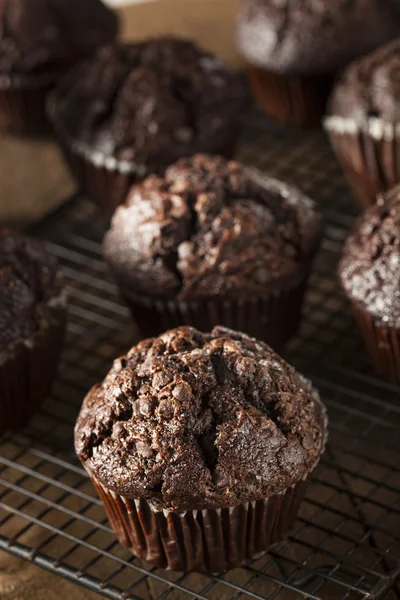 Muffins de chocolate escuro caseiro — Fotografia de Stock