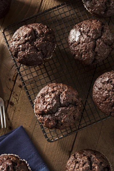 Homemade Dark Chocolate Muffins — Stock Photo, Image