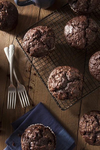 Hemgjord mörk choklad Muffins — Stockfoto