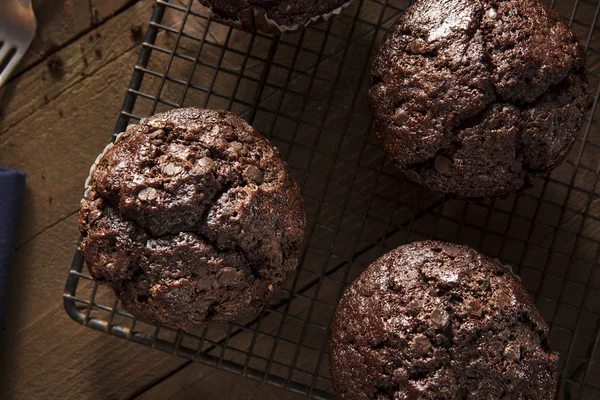 Muffins de chocolate escuro caseiro — Fotografia de Stock