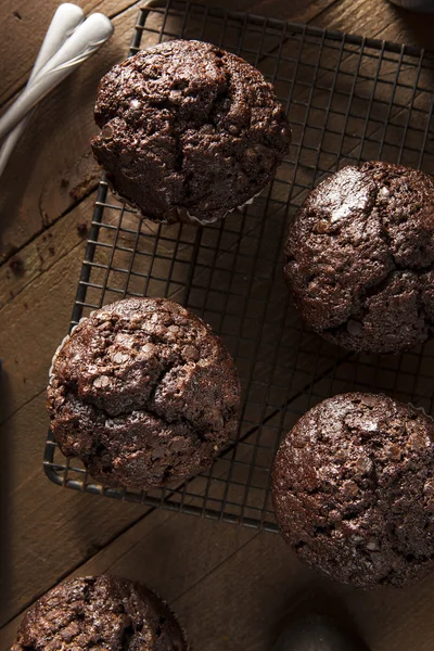 Hemgjord mörk choklad Muffins — Stockfoto