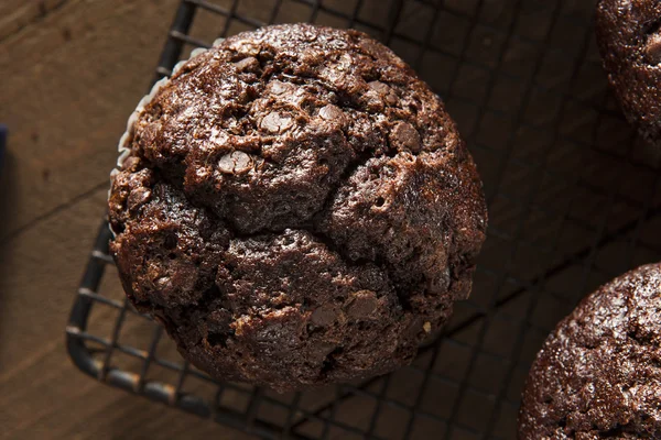 Homemade Dark Chocolate Muffins — Stock Photo, Image