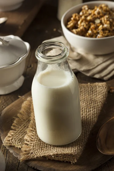 Orzeźwiający ekologiczne białe mleko — Zdjęcie stockowe