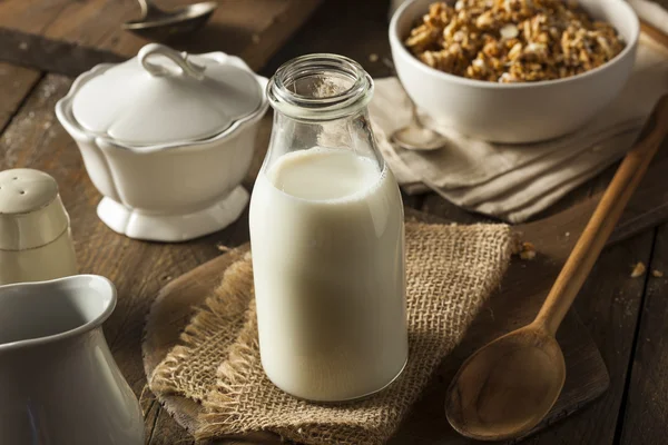 Orzeźwiający ekologiczne białe mleko — Zdjęcie stockowe
