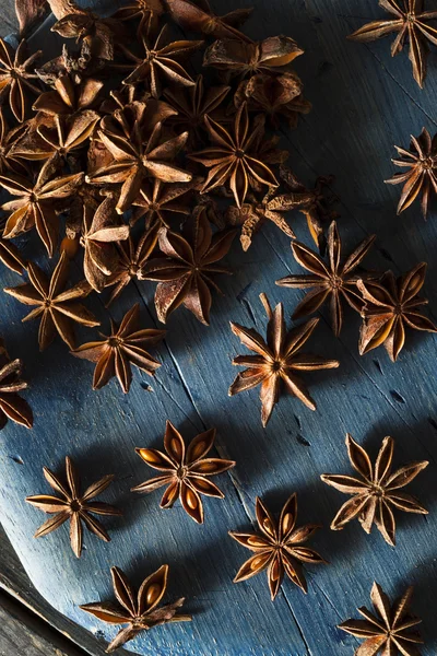 Estrela seca orgânica do anis — Fotografia de Stock